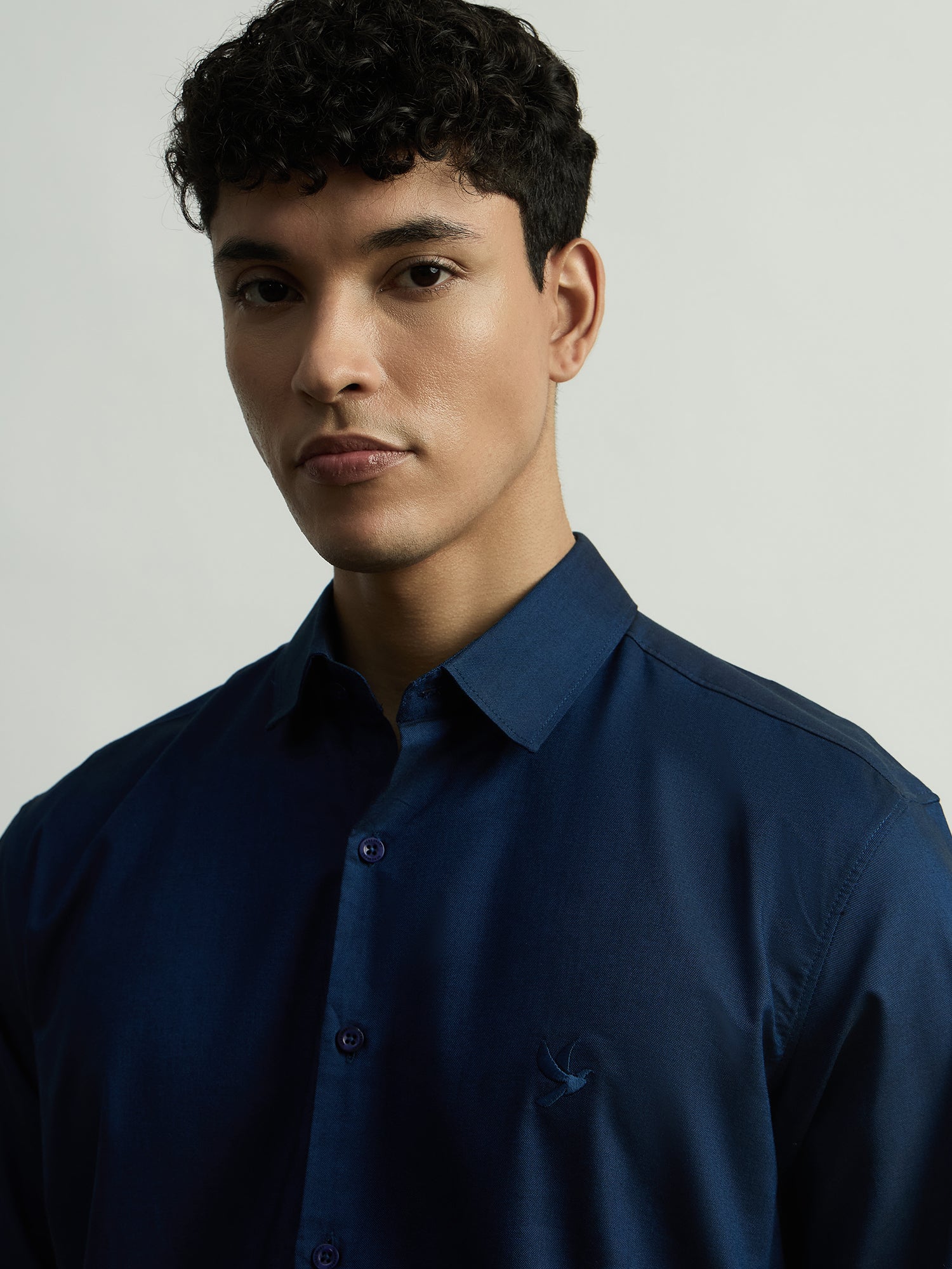 Luxury Pure Cotton Formal Shirt-Regular Fit - Navy Blue